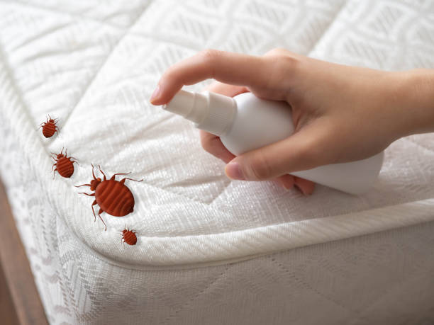 Best Best Pest Control Companies  in Lake In The Hls, IL